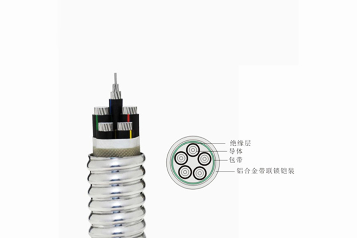 YJXLHLK-0.6/1KV YJXLHLK-0.6/1KV